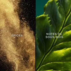 GUERLAINVol de Nuit                Eau de Toilette