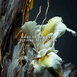 GUERLAINVétiver Le Parfum                Eau de Parfum