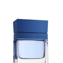 Guess Seductive Homme Blue                Eau de Toilette