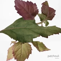 HERMÈSEau des Merveilles Bleue                Recharge Eau de Toilette