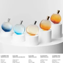 HERMÈSEau des Merveilles Bleue                Recharge Eau de Toilette