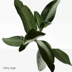 HERMÈSH24                Déodorant Spray Fraîcheur