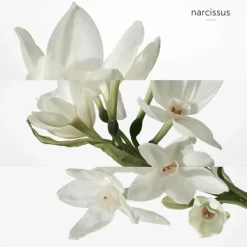 HERMÈSH24                Déodorant Spray Fraîcheur