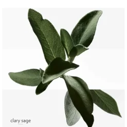 HERMÈSH24                Eau de Toilette