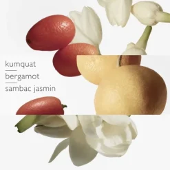 HERMÈSLe Jardin de Monsieur Li                Eau de Toilette - Flacon Recharge