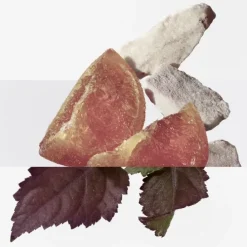 HERMÈSÉlixir des Merveilles Calligraphie                Eau de Parfum