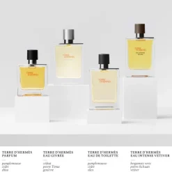 HERMÈSTerre d'Hermès Eau Givrée                Recharge Parfum