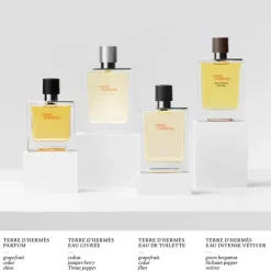 HERMÈSTerre d'Hermès Eau Givrée                Recharge Parfum