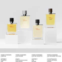 HERMÈSTerre d'Hermès Eau Givrée                Recharge Parfum