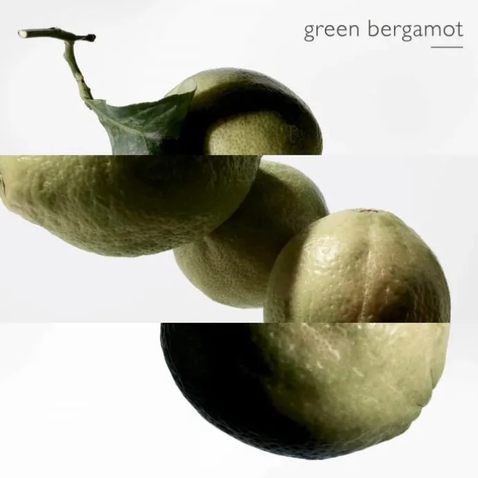 HERMÈSTerre d'Hermès Eau Intense Vétiver - Eau de Parfum