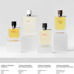 HERMÈSTerre d'Hermès Eau Intense Vétiver - Eau de Parfum
