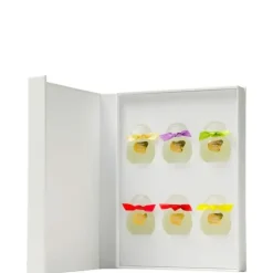 HoubigantCollection Privée Coffret Miniatures