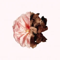 Irresistible Givenchy                Parfum Cheveux