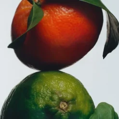 Jo MaloneLime Basil & Mandarin                Bougie Parfumée