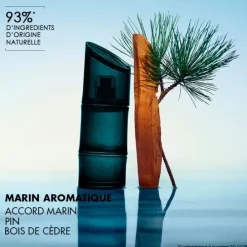 Kenzo Homme                Eau de Toilette