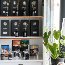 LaliqueVoyage de Parfumeur Figuier Amalfi Italie - Diffuseur de Parfum