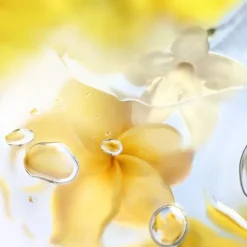 LANCÔMEÔ ZENITH                Eau de Toilette