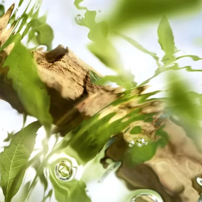 LANCÔMEÔFF NOW Eau de Toilette