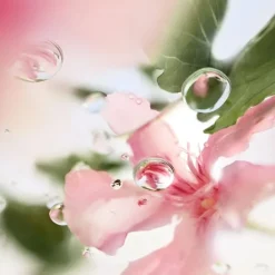 LANCÔMEÔVER THE TOP                Eau de Toilette