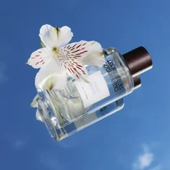 Les Senteurs GourmandesMusc Blanc                Eau de Parfum 100 ml