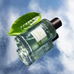 Les Senteurs GourmandesThé Absolu                Eau de Parfum