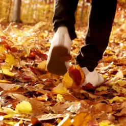 Maison MargielaREPLICA Autumn Vibes                Eau de Toilette