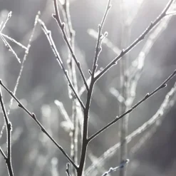 Maison MargielaREPLICA By The Fireplace                 Bougie Parfumée Boisée Épicée