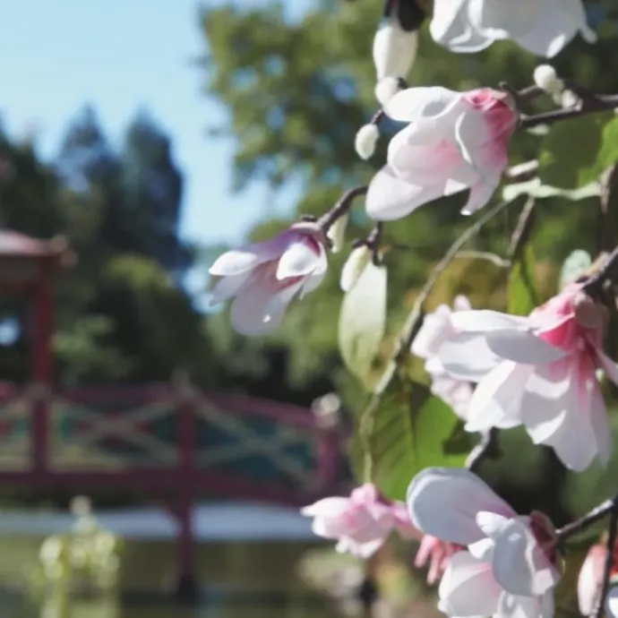 Maison MargielaREPLICA Springtime in a Park Bougie Parfumée Florale Fraîche