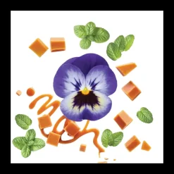 Mauboussin pour Lui in Black                Eau de Parfum