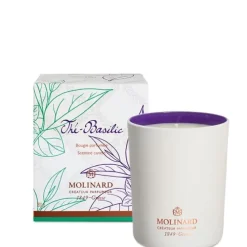 MolinardThé Basilic                Bougie Parfumée