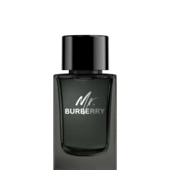 Mr. Burberry                Eau de Parfum
