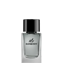 Mr. Burberry                Eau de Toilette