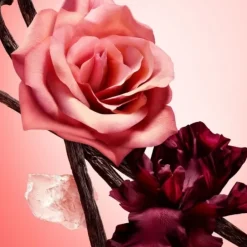 NARCISO RODRIGUEZAll of Me                Eau de Parfum Intense - Flacon Recharge