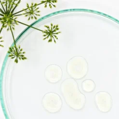 N.A.T Story Subli'slim                Huile Corps Minceur