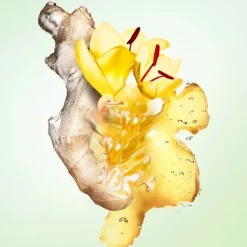 PRADAInfusion Gingembre                Eau de Parfum