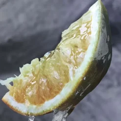 RABANNEInvictus                Déodorant Stick