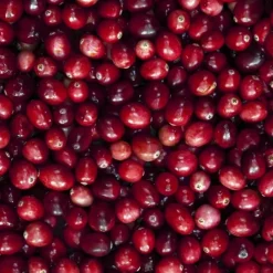 Ralph LaurenBig Pony Women                Eau de Toilette