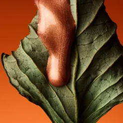 RéminiscenceLe Patchouli                Eau de Toilette Intense - Limited Édition 1970