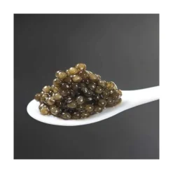 RoseBaie ParisKératine x Caviar                Shampooing Réparateur & Régénérant