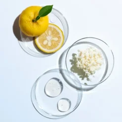 SHISEIDOEudermine                Essence Activatrice Revitalisante - Recharge