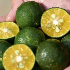 SHISEIDOWaso                Soin Correcteur Teint Non Gras SPF30