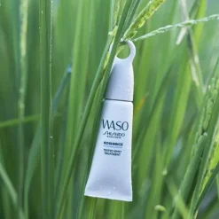 SHISEIDOWaso                Traitement Teinté