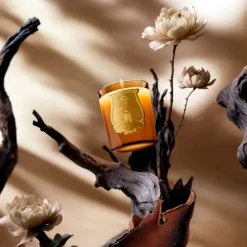 TrudonAltaïr - Oud et Pivoine                Bougie Parfumée