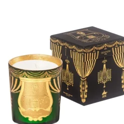 TrudonAngelo - Orange et Cannelle                Bougie Parfumée