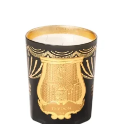 TrudonFir - Sapin de Noël                Bougie Parfumée Intermède