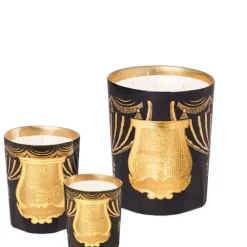 TrudonFir - Sapin de Noël                Bougie Parfumée Intermède