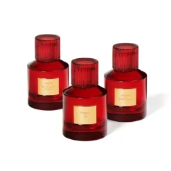 TrudonMystique                Parfum