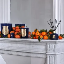 TrudonReggio                Diffuseur d'Ambiance