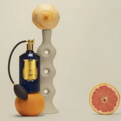 TrudonSalta                Vaporisateur d'Ambiance