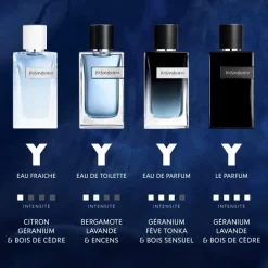 YVES SAINT LAURENTY                Eau de Toilette